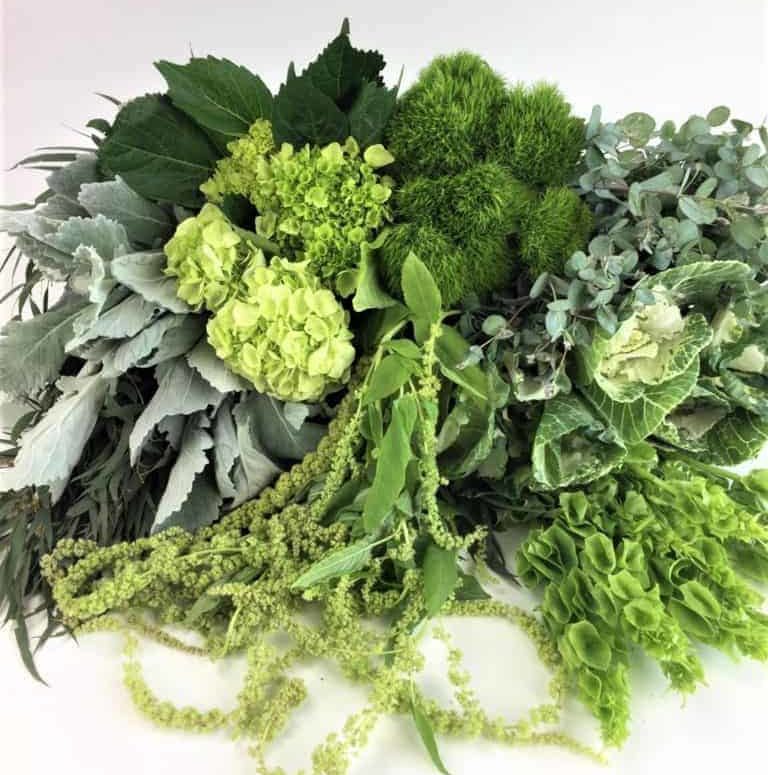 Foliage & Greenery