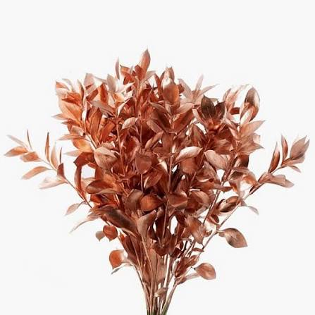 Dyed Ruscus